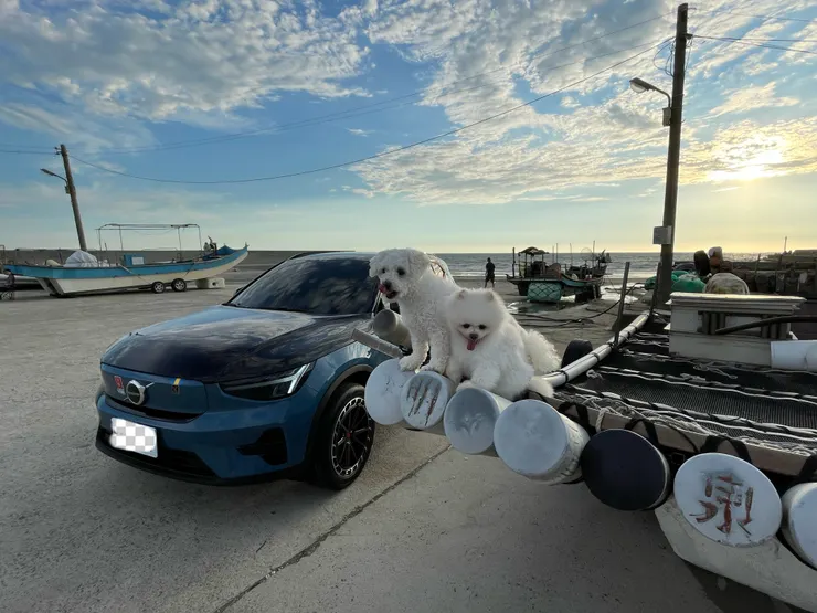 狗狗和車車合照