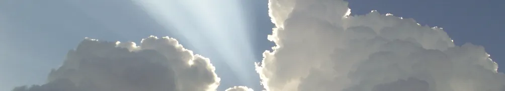 Avenélya‘s呢喃聲聲 