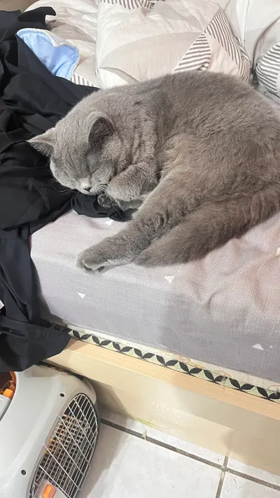 這小子在我床上睡很爽欸