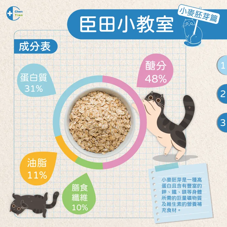 小麥胚芽的介紹