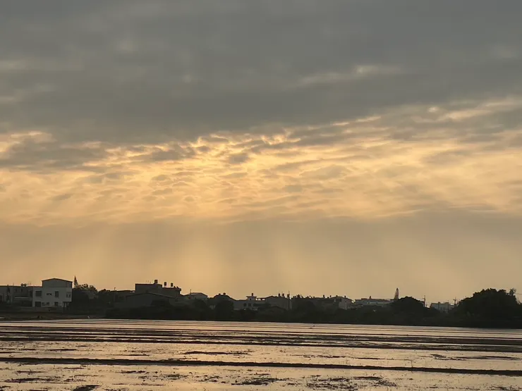 要春耕了太陽撒下來感覺超有full