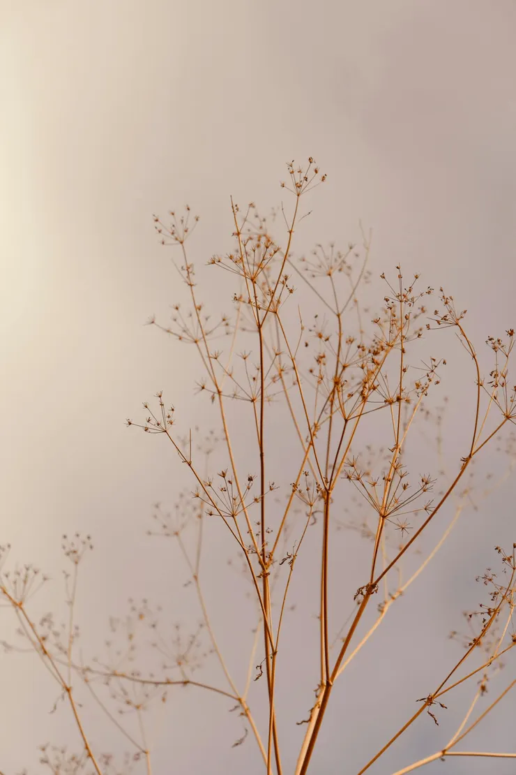 我知道自己渺小, 卻仍然想往光那裡去。