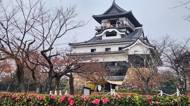 有櫻花的犬山城一定更美