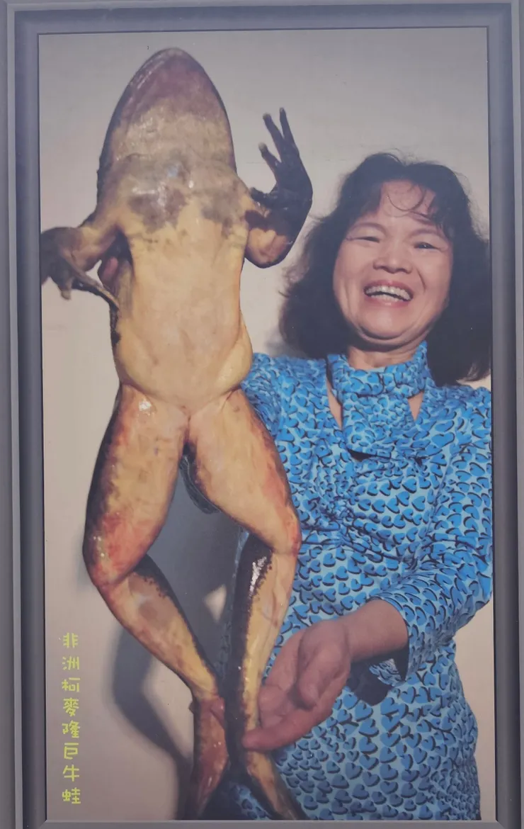 從缺，該蛙減肥中