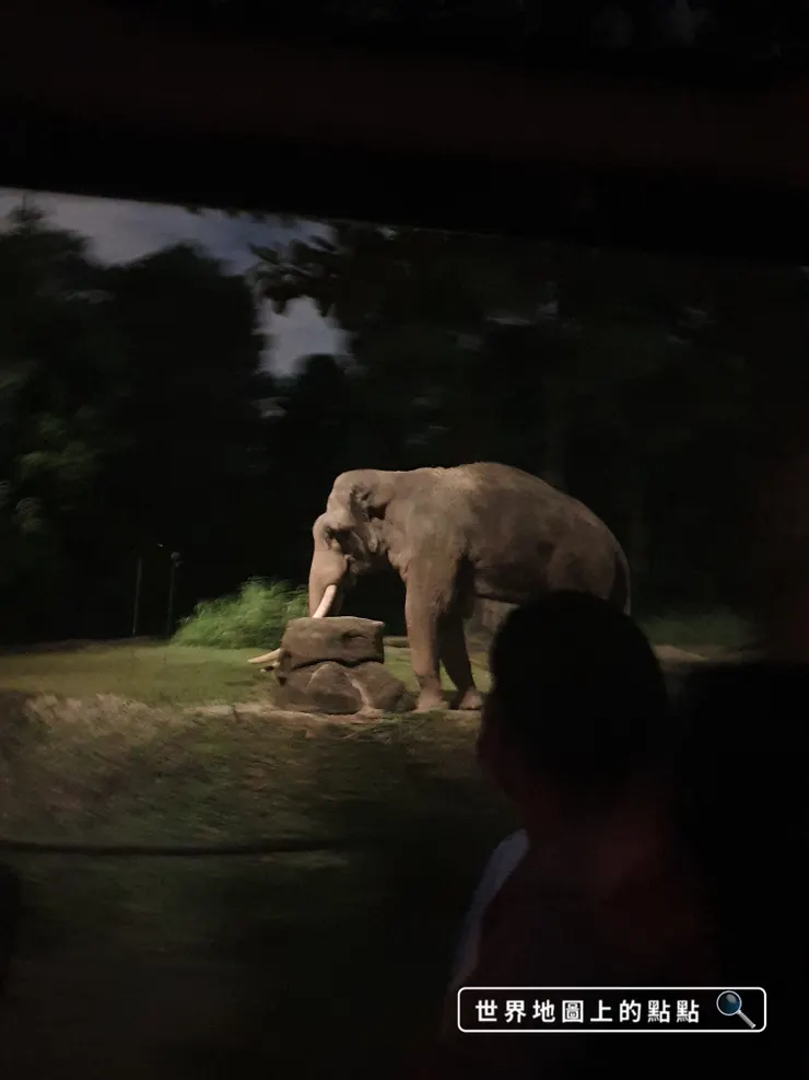 遊園車行經大象區