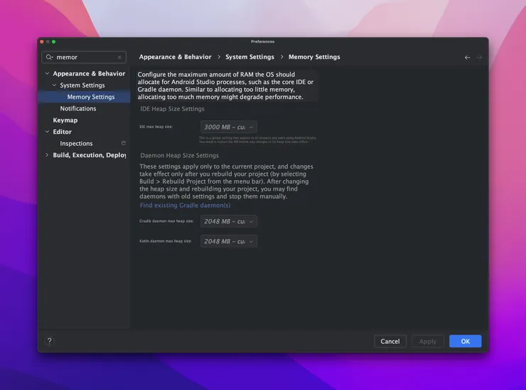 記憶體調整頁面