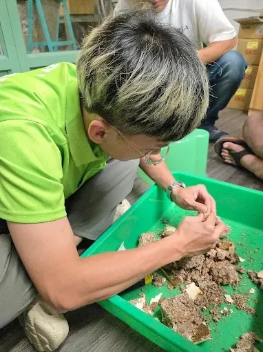 正在幫幼蟲更換耗材的我,感覺頭髮有點毛躁(哭