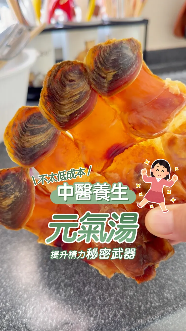 中醫元氣湯 - 響螺羊肚菌蟲草花湯 | (不太低)成本中醫養生ep.10