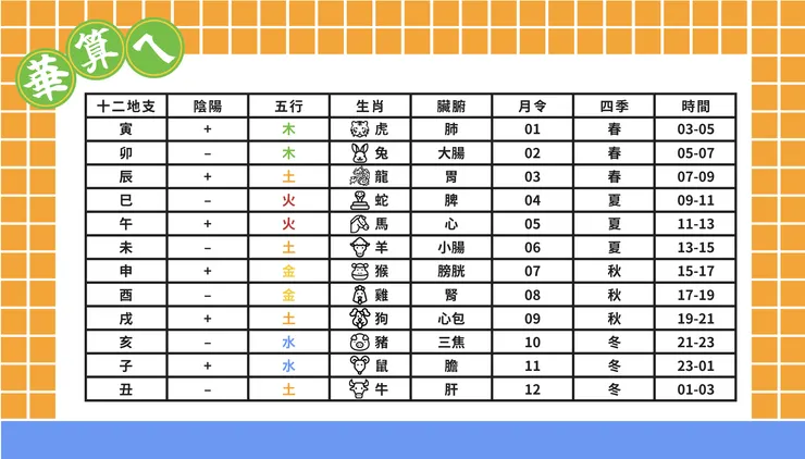 十二地支&五行所屬圖