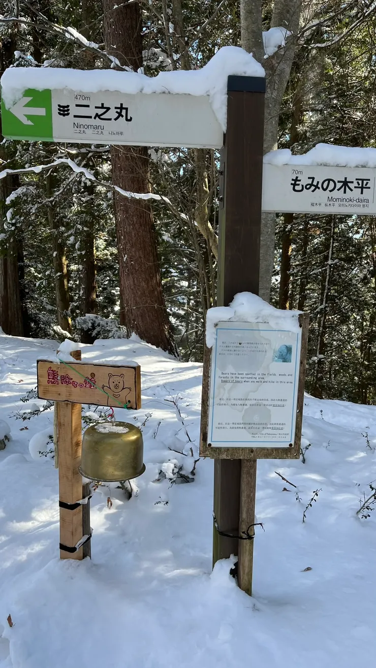 走在森林，安全是最重要的。