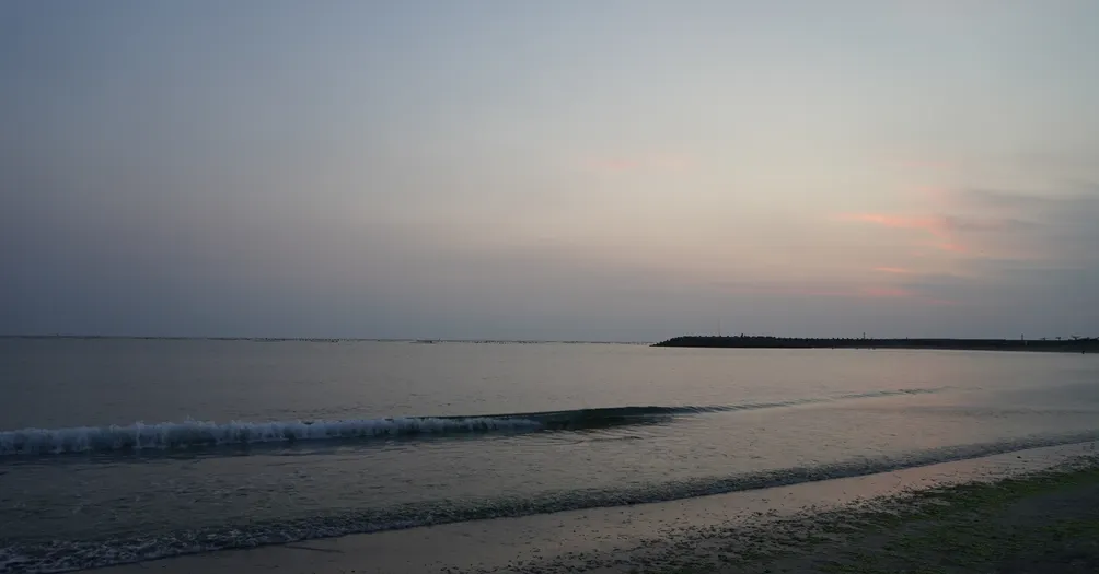 知珩的靈魂資料庫