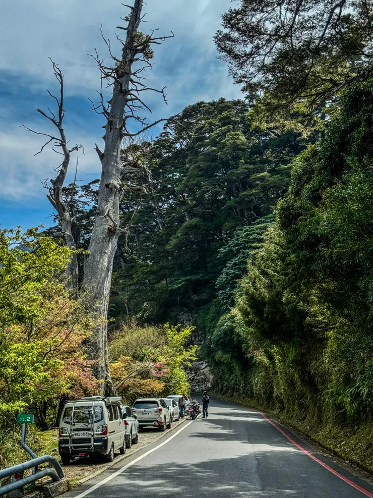 塔關山登山口路旁停車位更少，需要踫踫運氣～