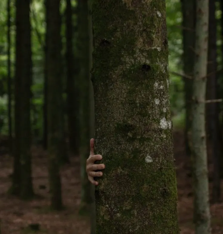 (圖片來源: Pinterest)