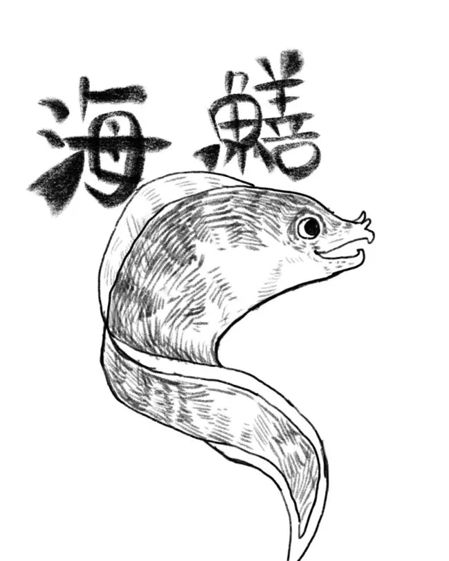 把海鱔稍微畫得可愛一點