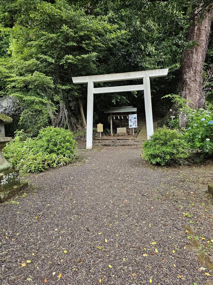 神社右側的白山神社遙拜所，兩旁還有種繡球花