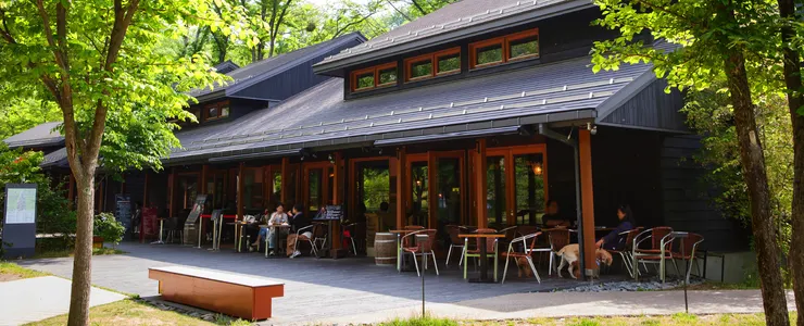 為鬱蔥綠意和潺潺溪流所環抱之澤村麵包榆樹街小鎮店