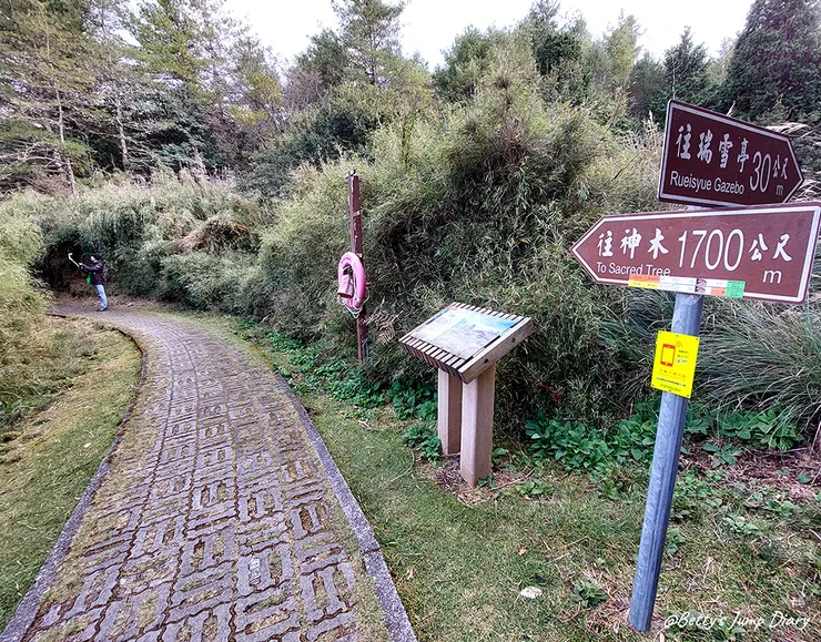 ▲台中「大雪山國家森林遊樂區」/圖片來源：Betty's Jump Diary