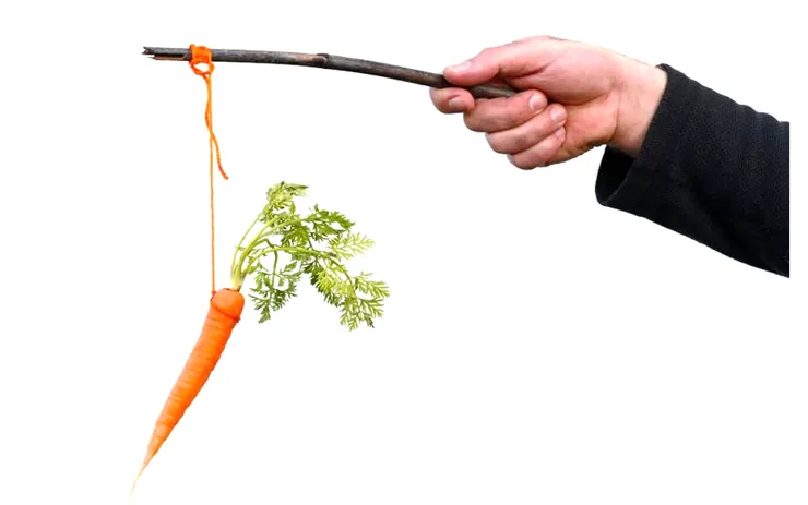 photo: chameleonseye on istock