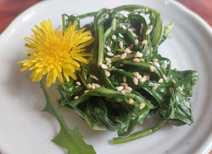 春天的護肝野蔬：涼拌蒲公英葉