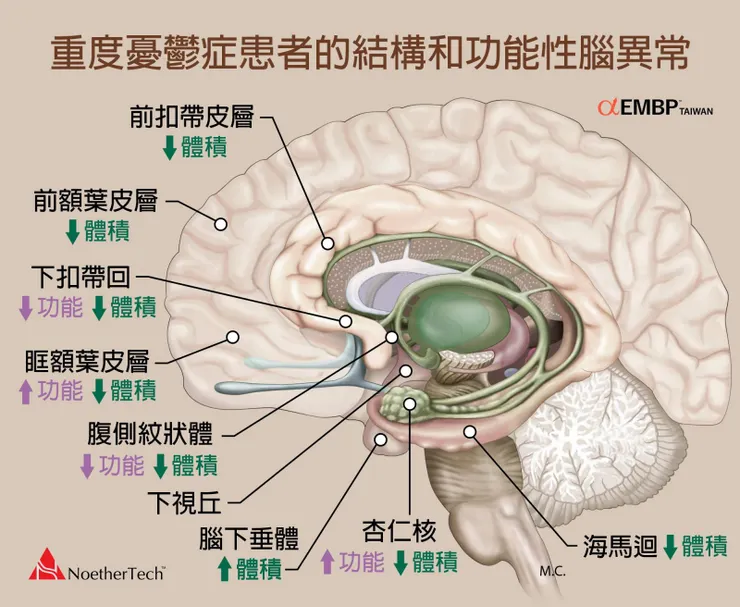 圖片來源：EMBP TAIWAN 