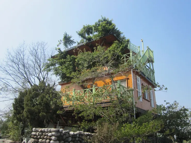 小有名氣的泰安檜木樹屋