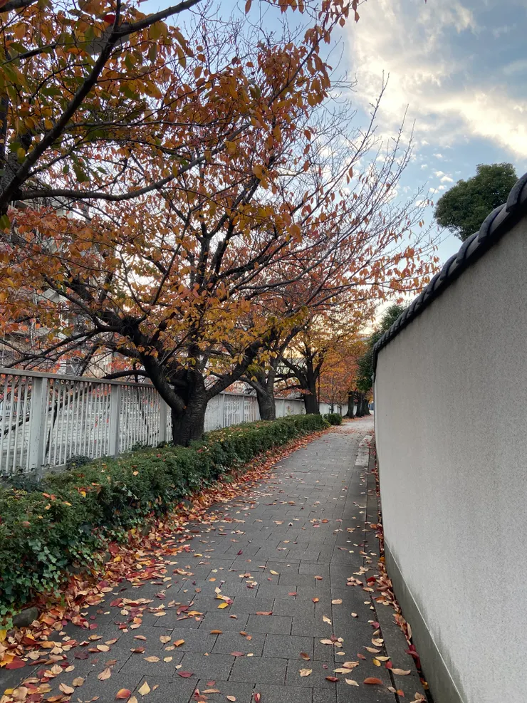 是不是有一天，AI能夠模擬出四季的溫度和氣味呢？