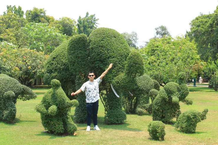 園藝灌木修剪得很仔細