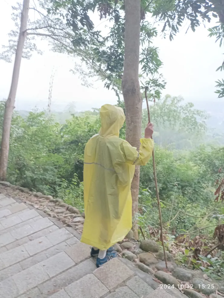 雨濛竹杖山登步
