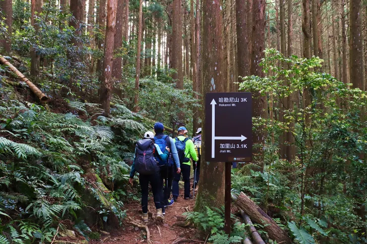 前行不久來到哈勘尼山的叉路，由此取右下風美溪溪谷