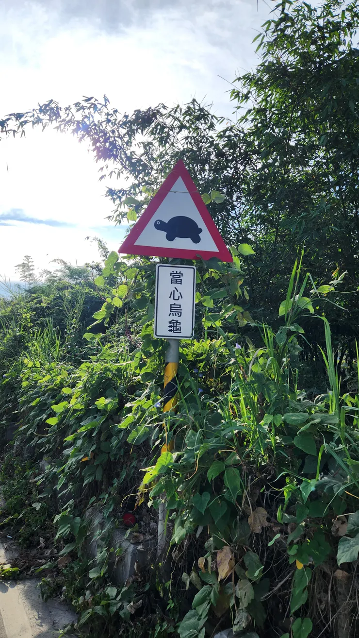 對於許多生物來說,人們出入的道路常常是奪走牠們生命的洪流。