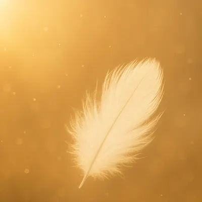 《羽翼下的光芒》