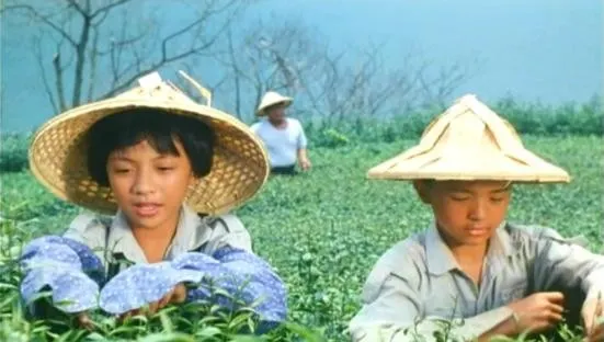 別被騙到ALL MONEY LOSE 回家去種田