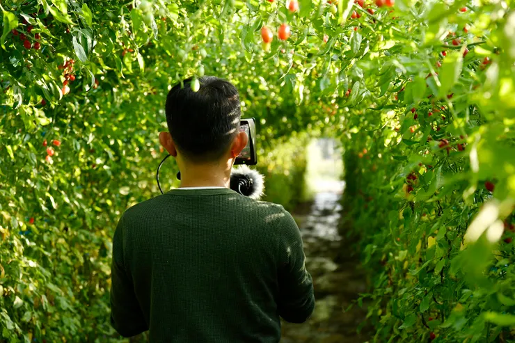 vocus|新世代的創作平台