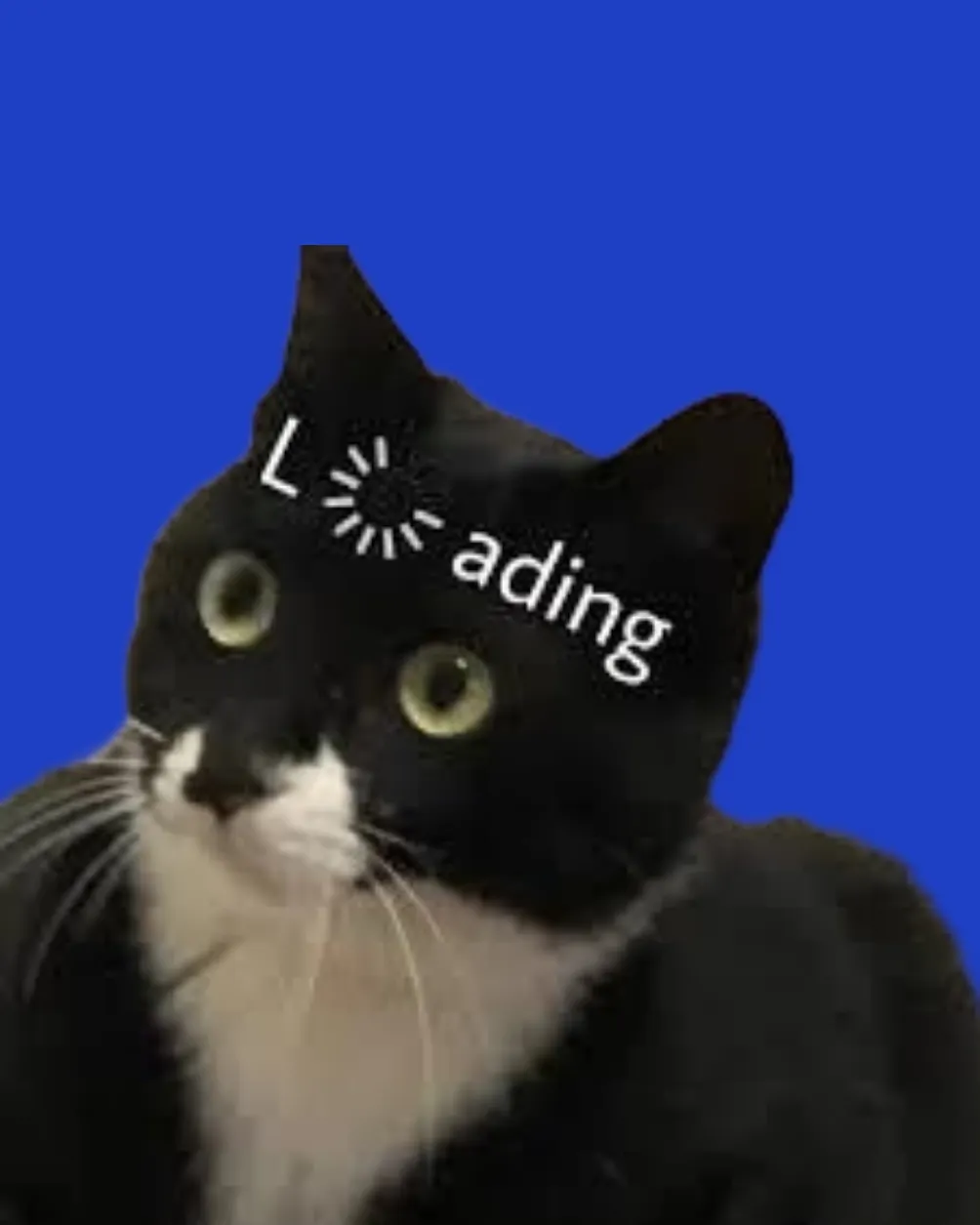 (MOO:D)努力生活，努力溫柔。