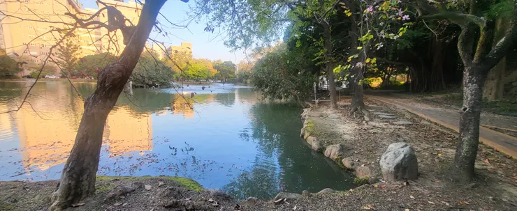 午後的中興湖(李建崑攝影)