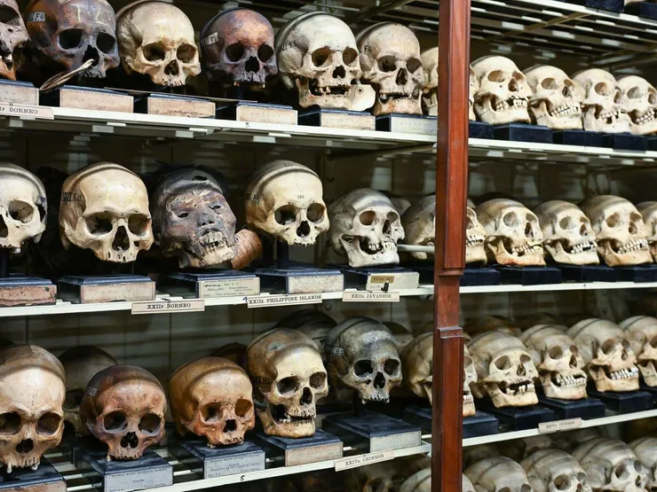 圖片來源：Edinburgh University