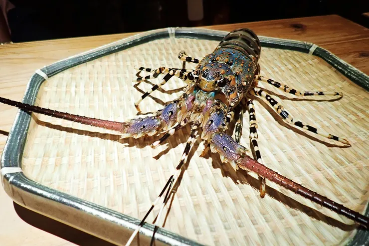 【建一食堂】東區日本料理,嚴選最鮮一等一高檔食材,連日本人、香港人都愛的台北美食餐廳。