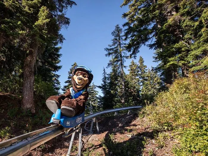 圖片來源：Cypress Mountain官方網站