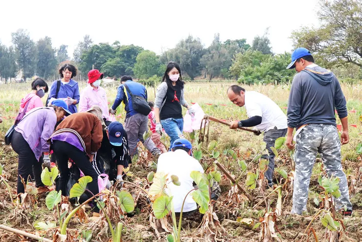 照片取自金門觀光旅遊網站