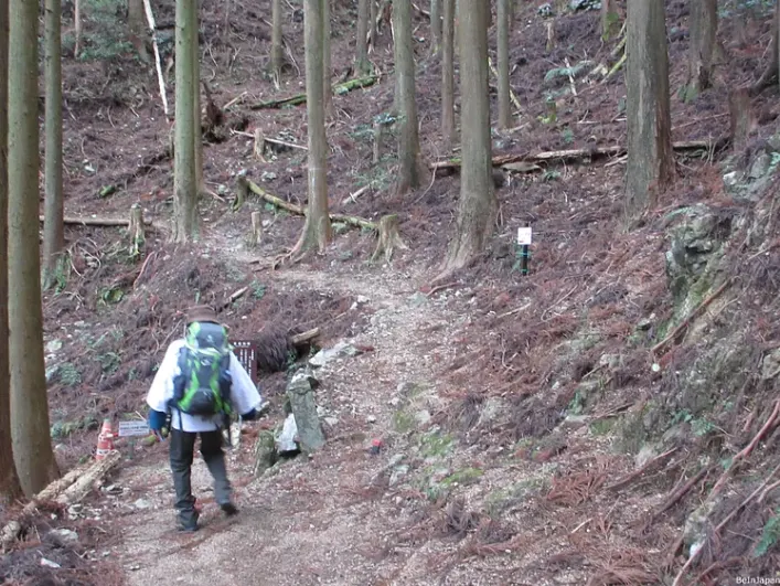 感謝上原先生當我的人型比例尺