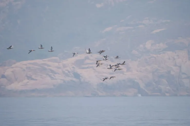 之後到初夏才見到男生