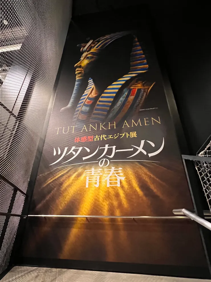 我主要的目的 - 埃及展