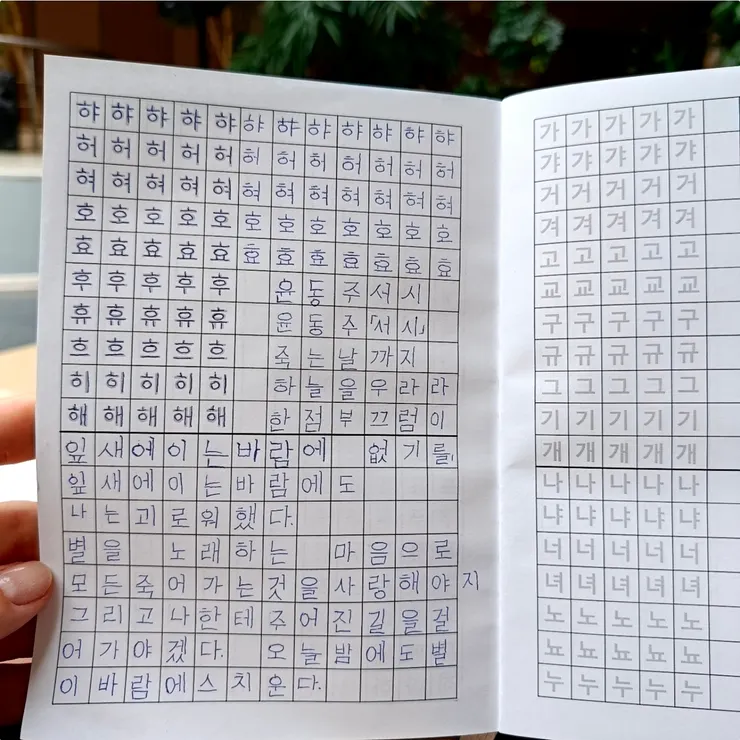 Maum app上的某些網友很認真的在學韓文,還發文分享自己學語言的經過