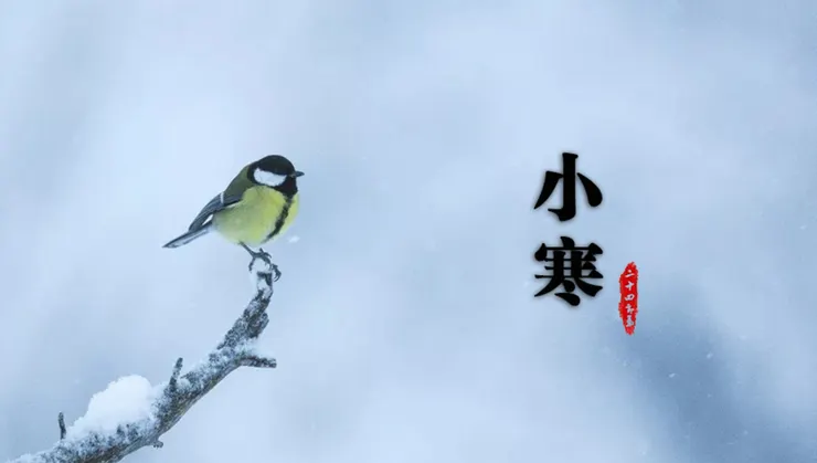 圖片取自網路加以裁剪而成，侵權刪。