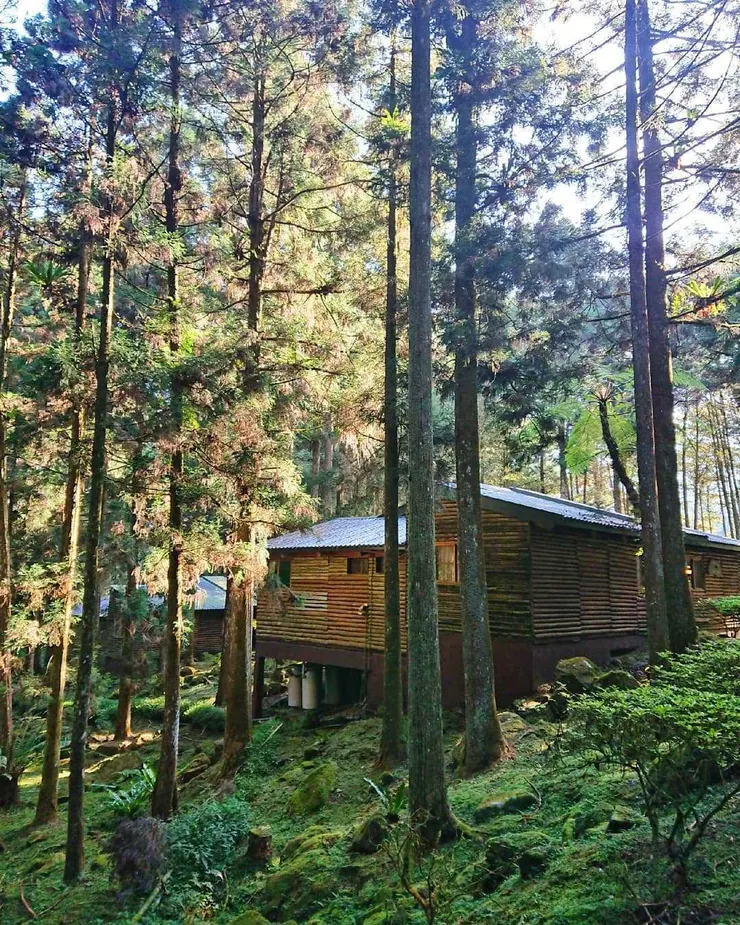 溪頭住宿 ｜溪頭自然教育園區 