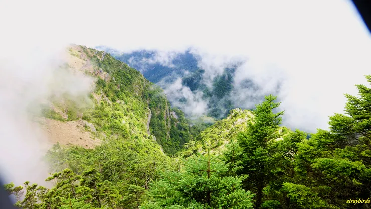 眺望山嵐，緩和一下急速上升的腎上腺素。