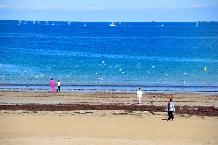 【沿沙灘遊人戲水遛狗散步閒坐】