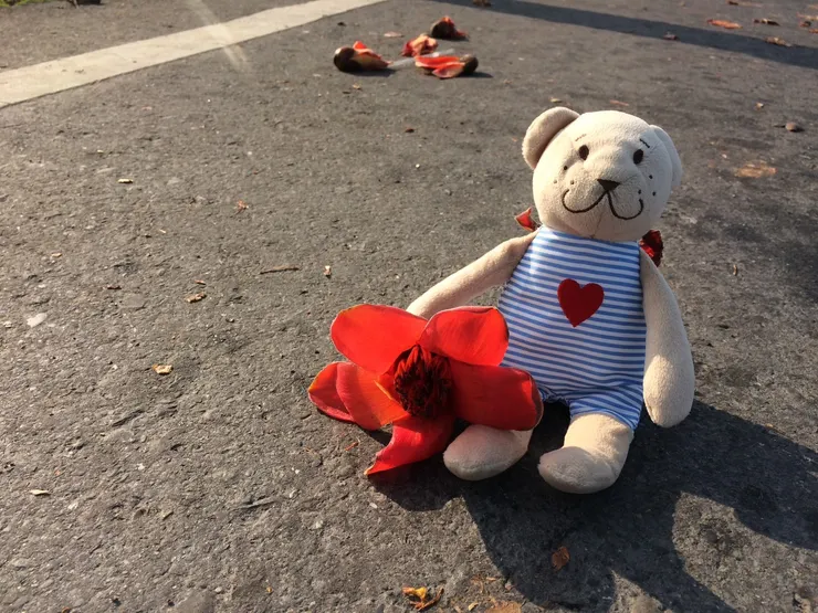 2016年 ．四月．台南縣將軍區的木棉花道