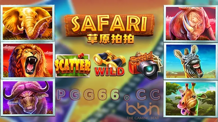 BB草原拍拍,BB SAFARI