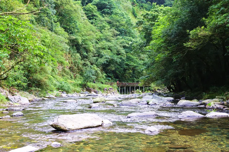 桶後越嶺古道木棧橋